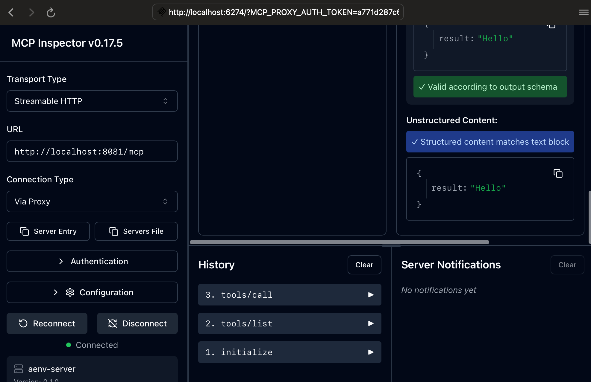 Local Runtime Environment